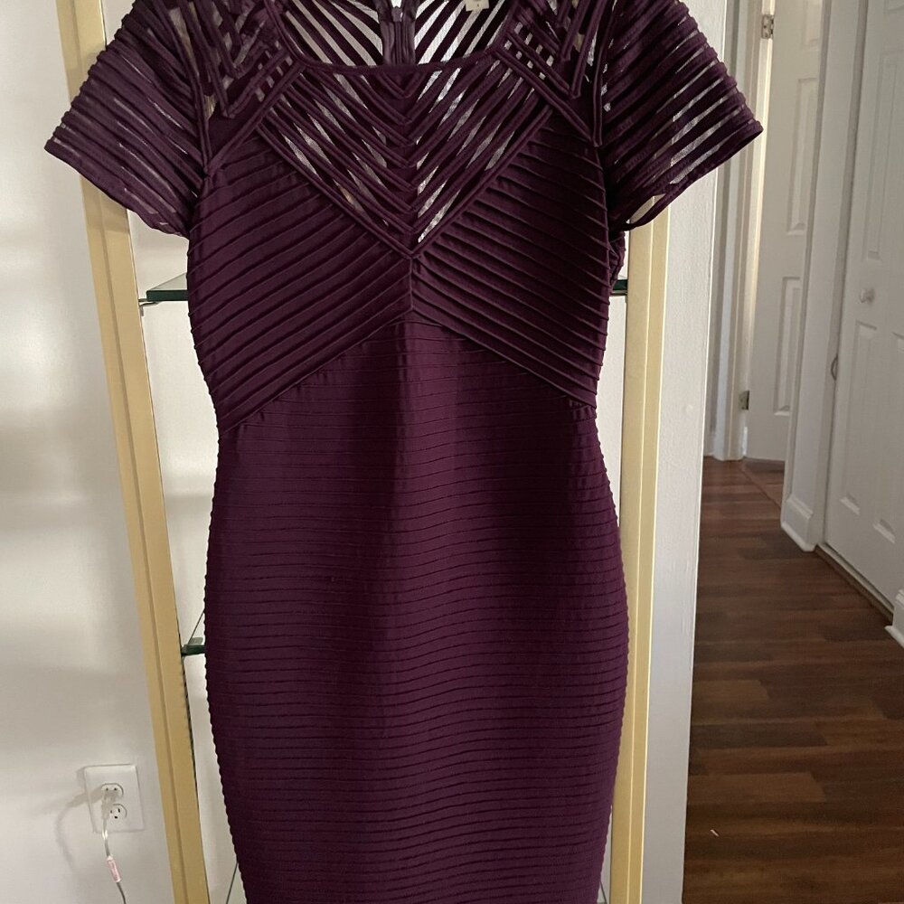 Calvin Klein Bodycon Mesh Illuion Dress